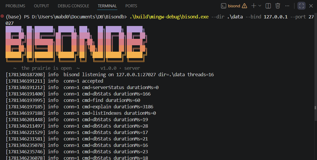 bisond startup banner and request log